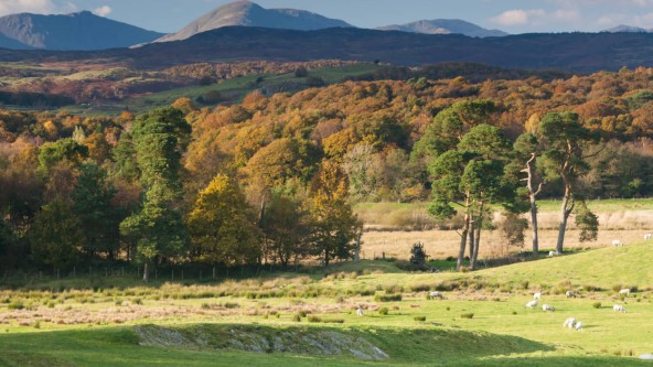 South Lakeland Leisure Village - Old Man of Coniston