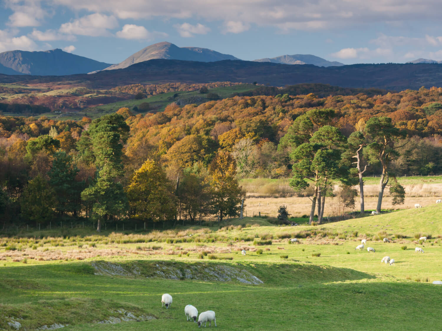 South Lakeland Leisure Village - Old Man of Coniston