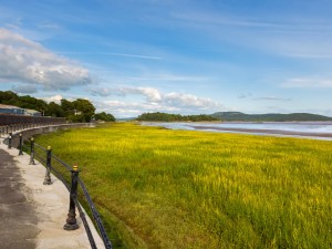South Lakeland Leisure Village - Grange-over-Sands