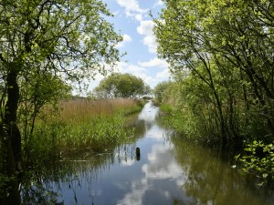 South Lakeland Leisure Village - Leighton Moss