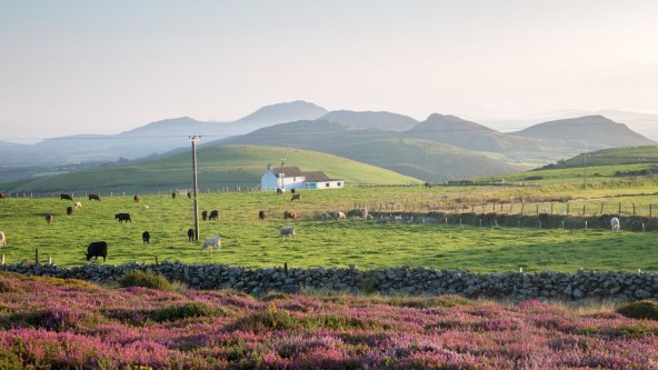 Mountains near Llithfaen
