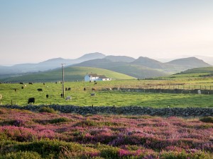 Mountains near Llithfaen