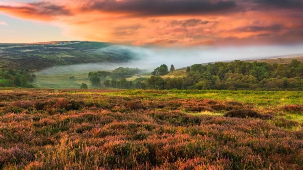 North York Moors landscape