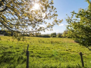 Countryside surroundings