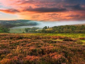North York Moors landscape