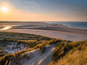 Budle Bay