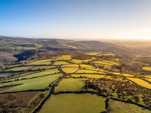 Dartmoor Countryside