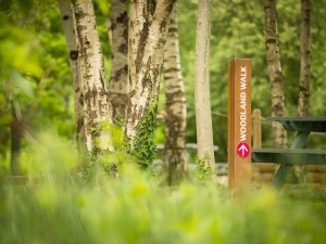 Woodland walk on Finlake Resort and Spa