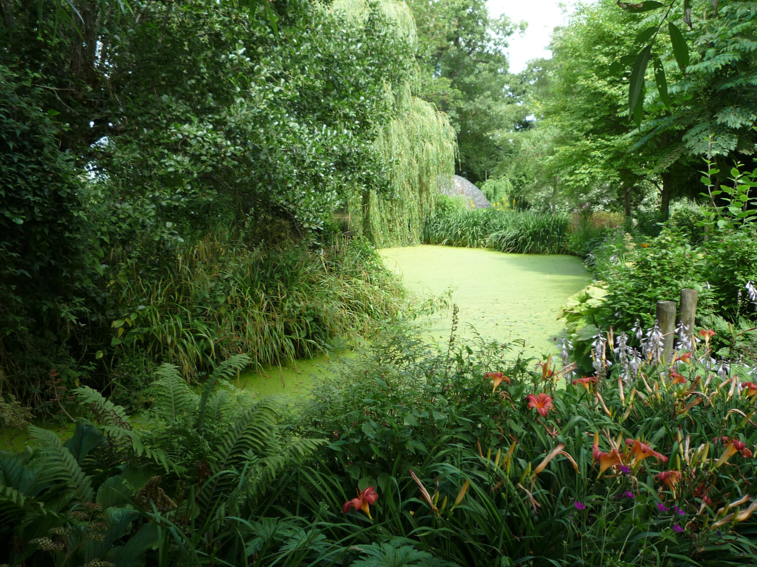Westonbury Mill Water Gardens