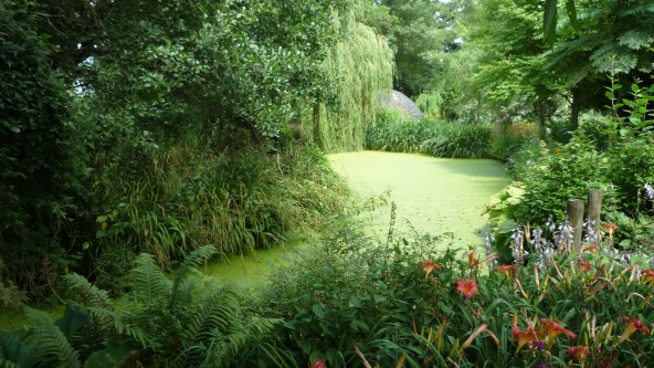 Westonbury Mill Water Gardens