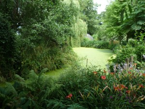 Westonbury Mill Water Gardens