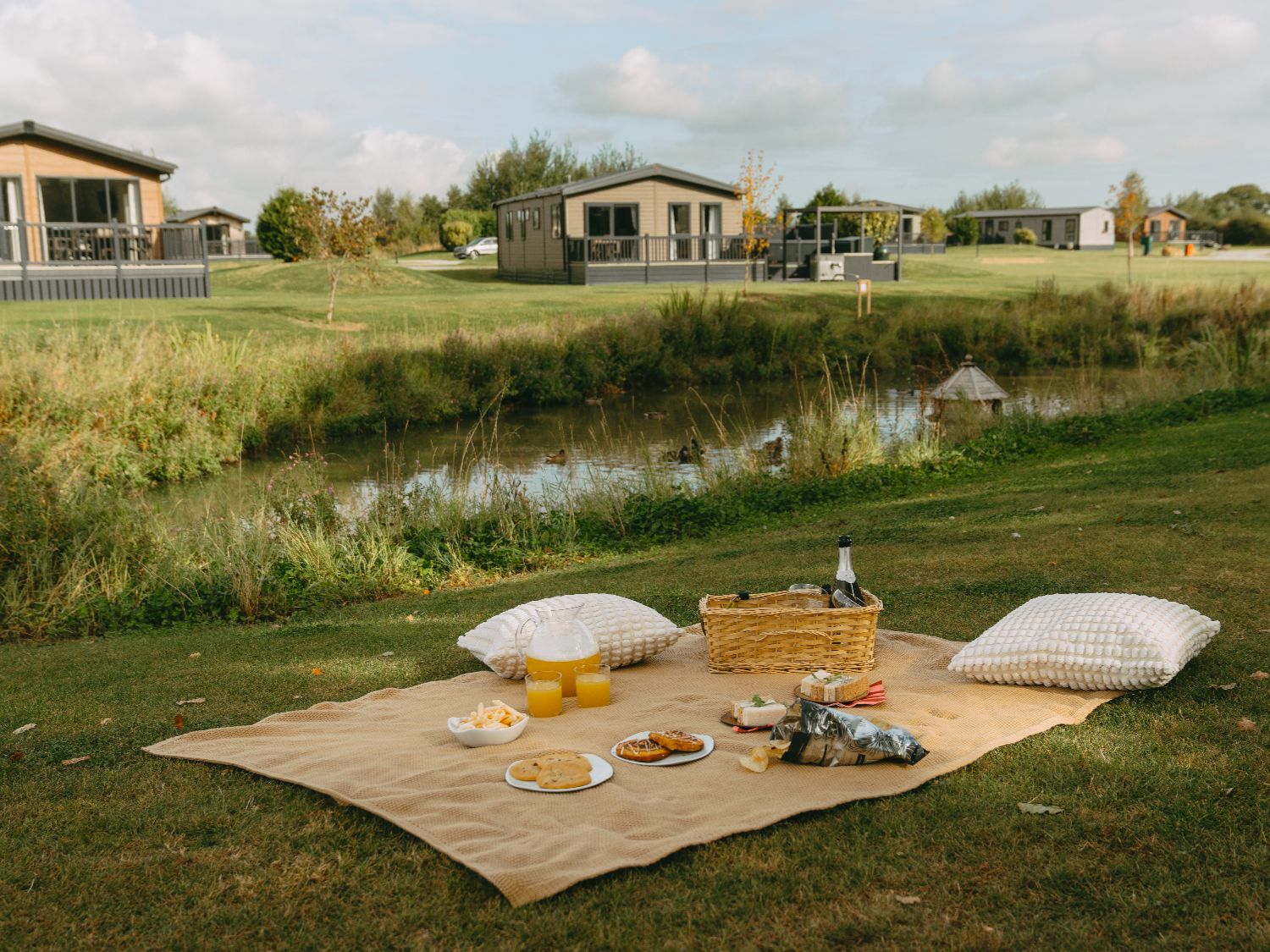 Angrove Picnic