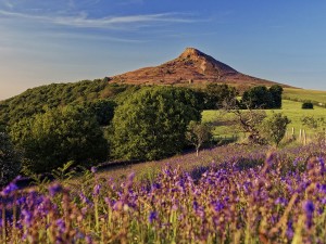 Roseberry Topping