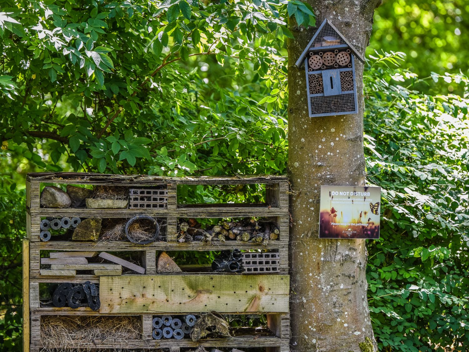 Aysgarth Bug Hotel