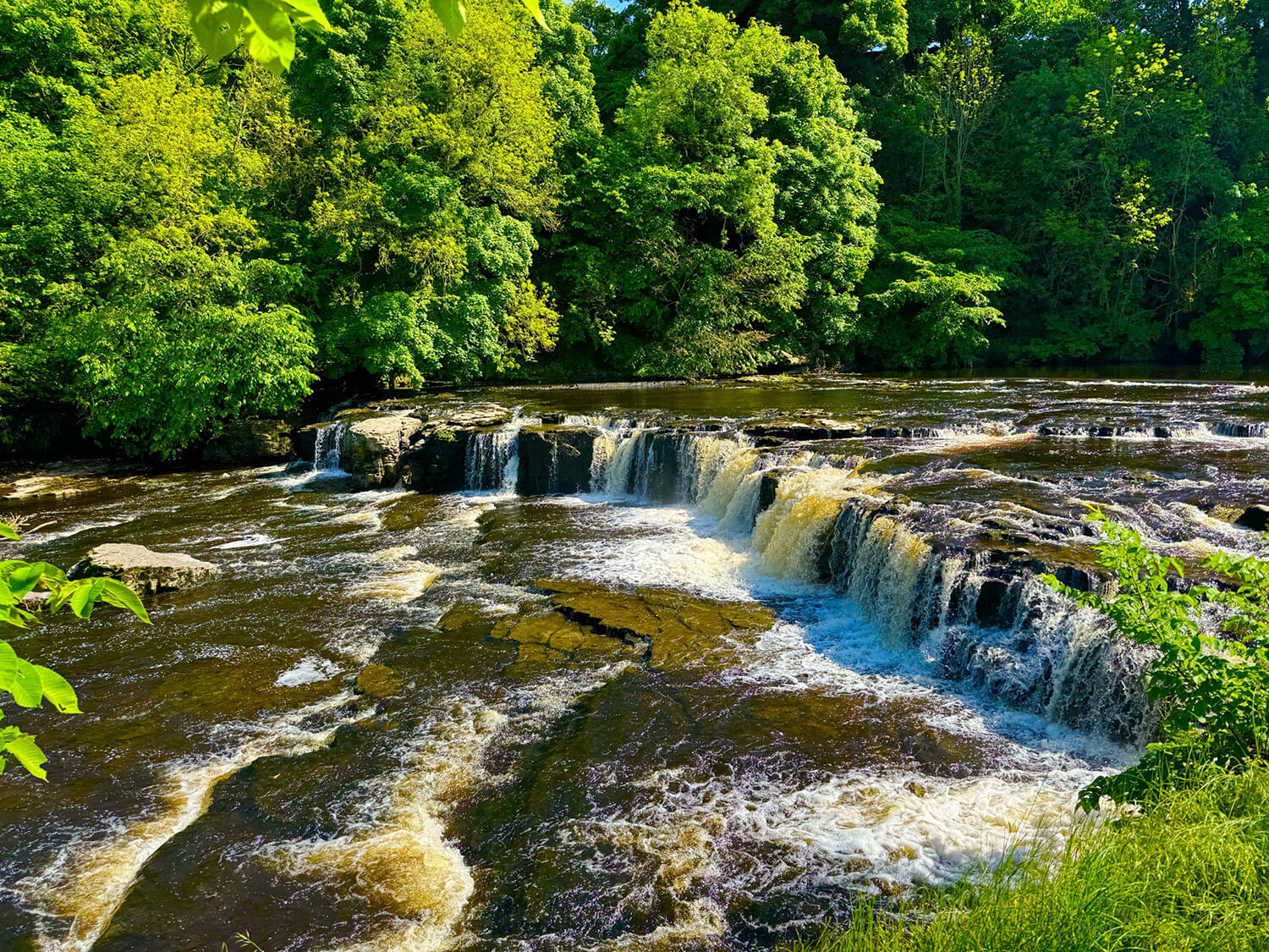Aysgarth Falls