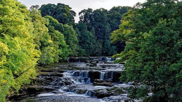 Aysgarth Falls Yorkshire