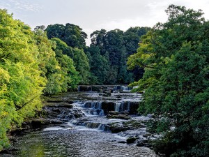 Aysgarth Falls Yorkshire