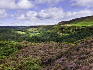 North York Moors