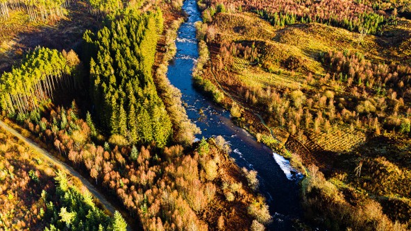 Galloway Forest Park