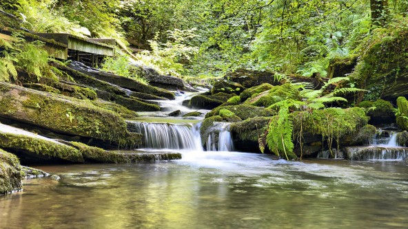 St Nectans Waterfall