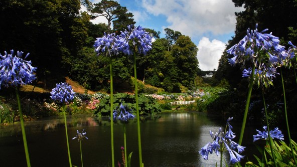 Trebah Garden