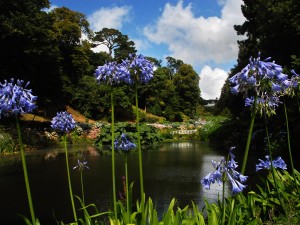 Trebah Garden