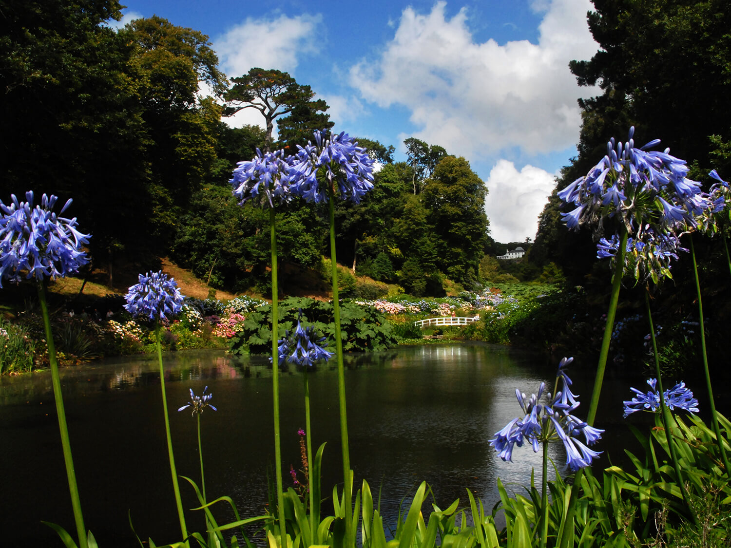 Trebah Garden