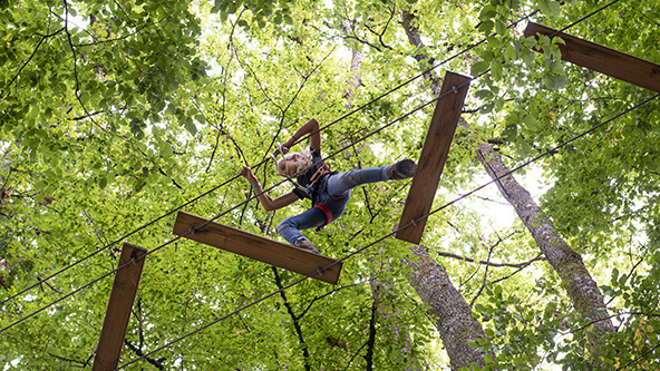 Treetop Adventure