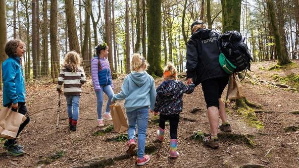 Forest Ranger Activities