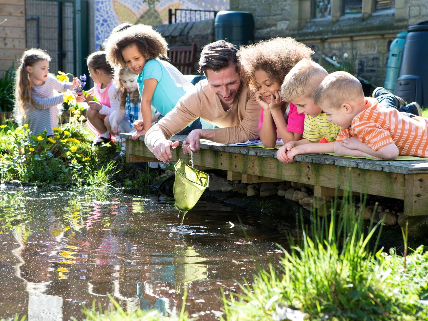 Pond and Stream Dipping
