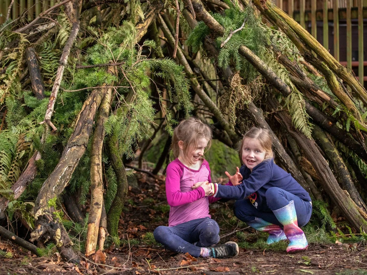 Forest Ranger Activities