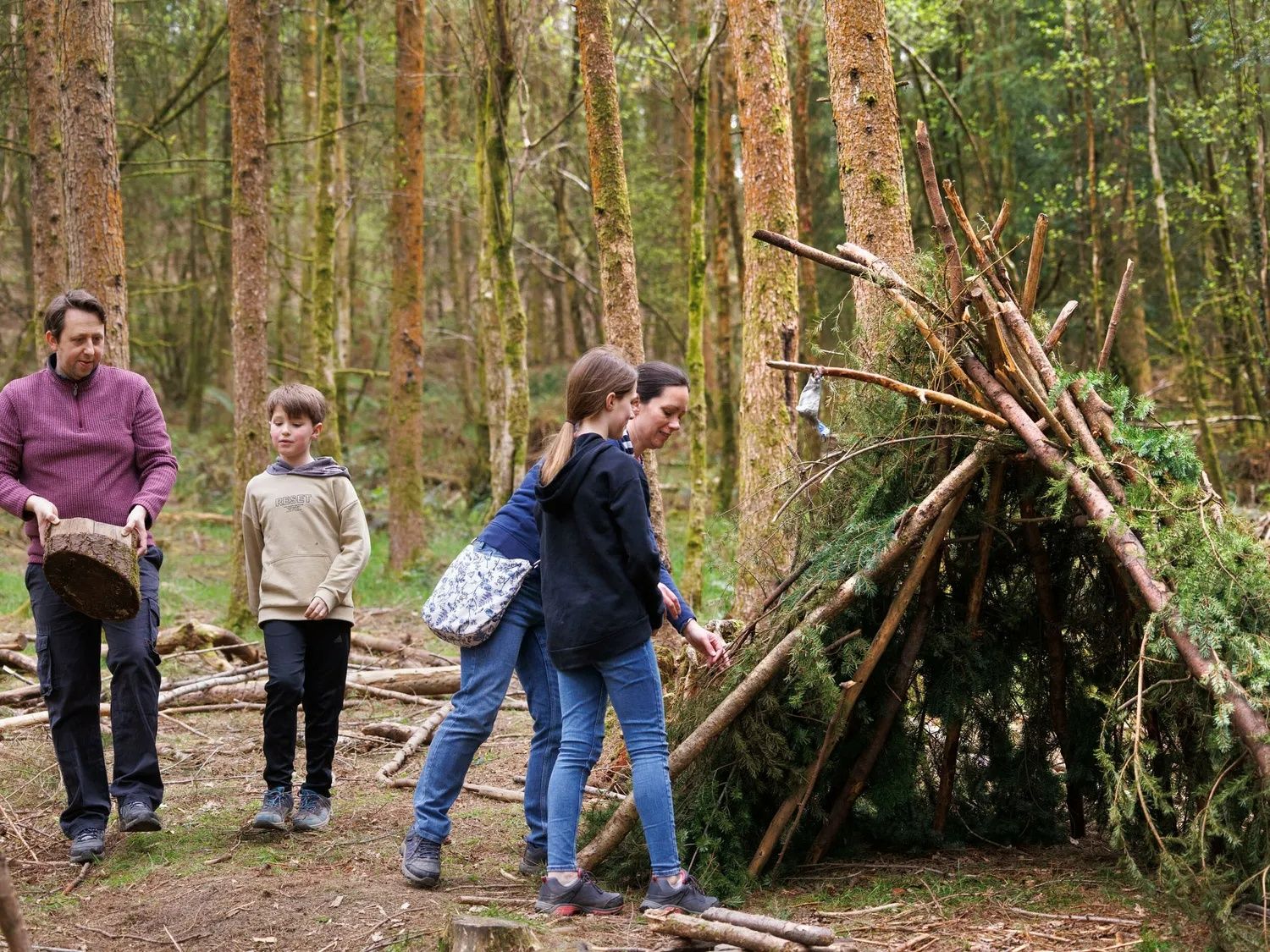 Forest Ranger Activities