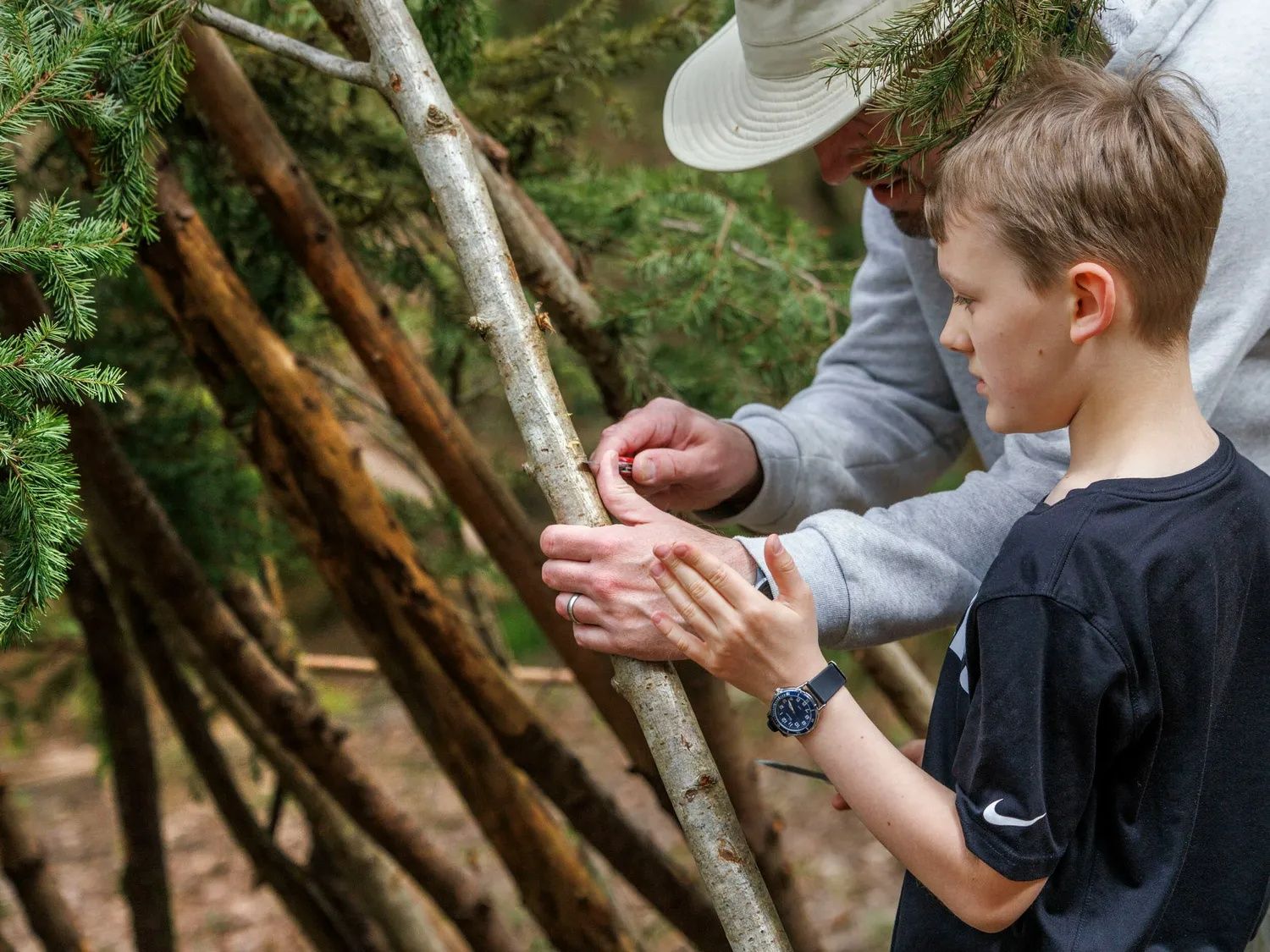 Forest Ranger Activities