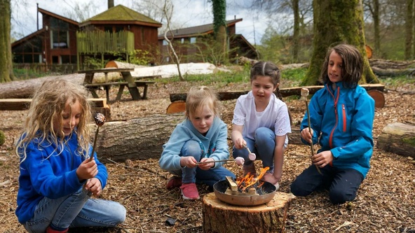 Forest Ranger Activities