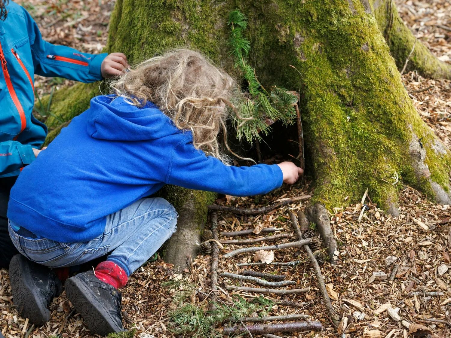 Forest Ranger Activities