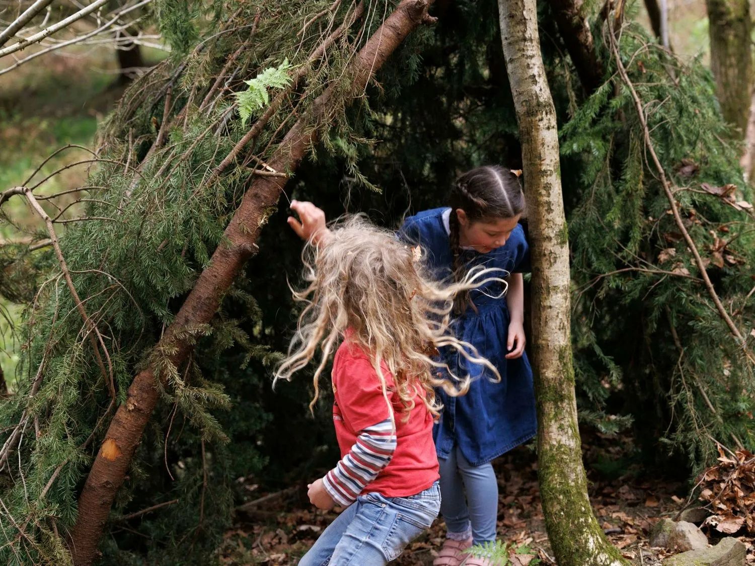 Forest Ranger Activities