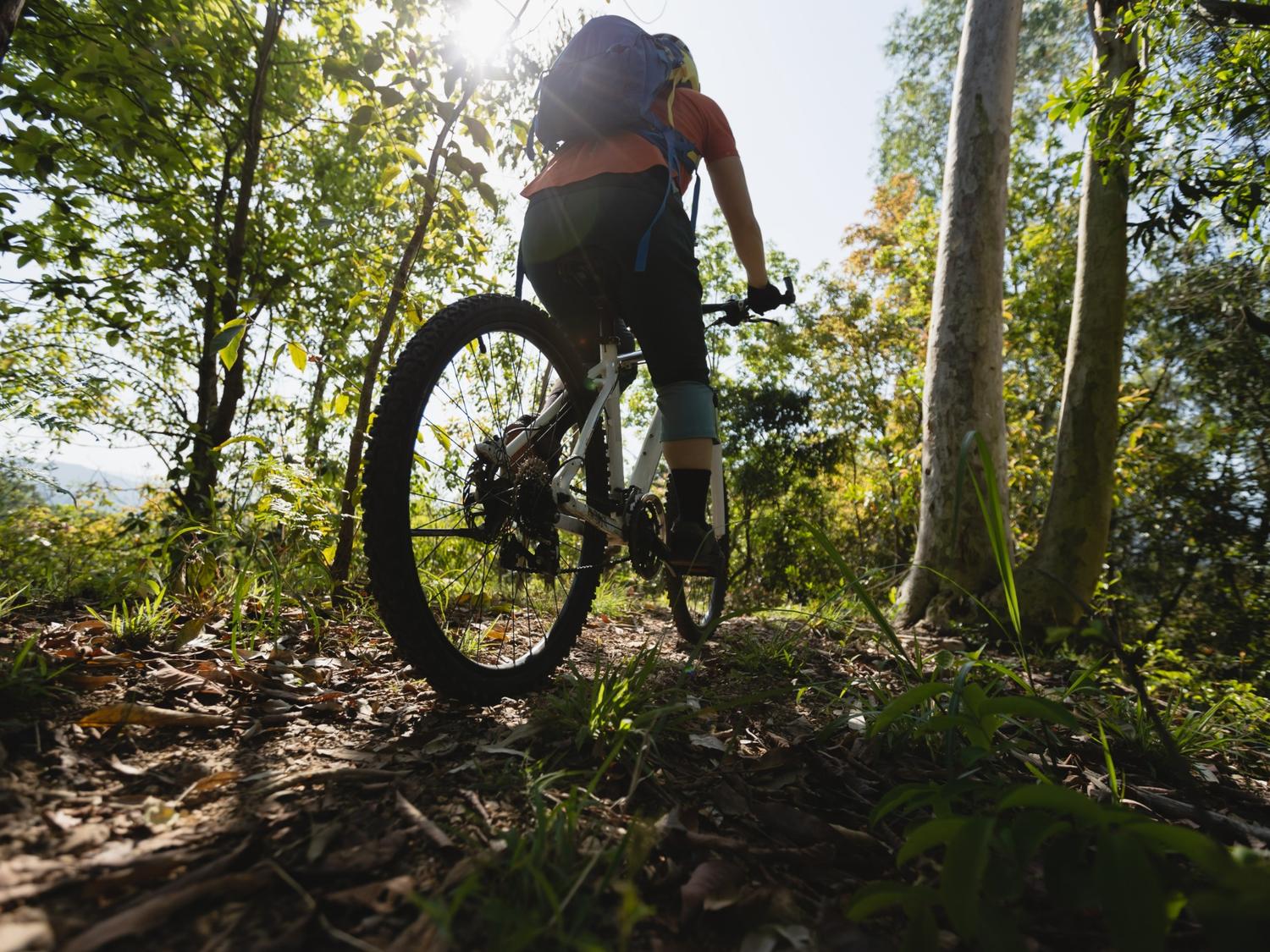 Mountain Biking