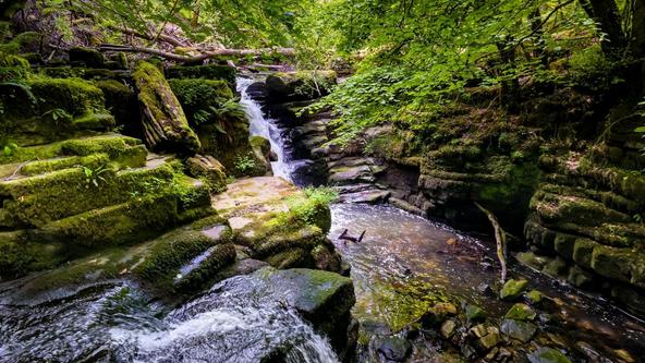 Gorge Walking
