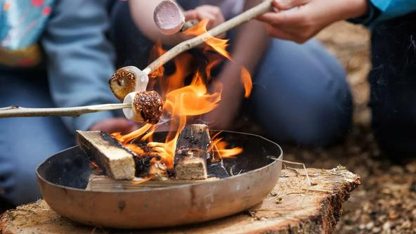Forest Ranger Activities