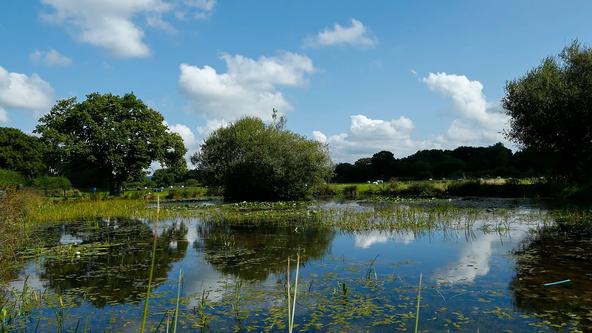 Fishing Lake