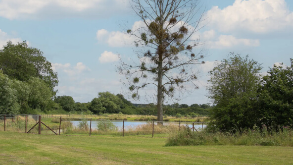 Lake & River Fishing