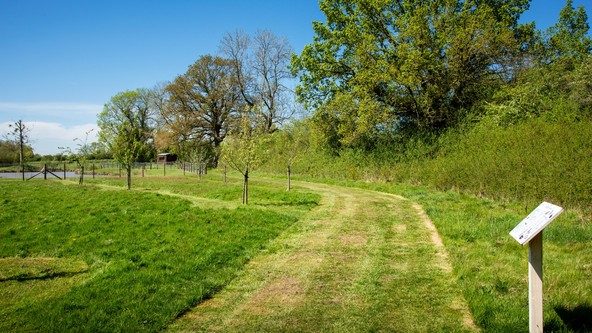 Nature Trails & Meadows
