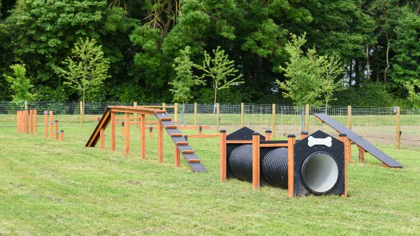Dog Agility Course